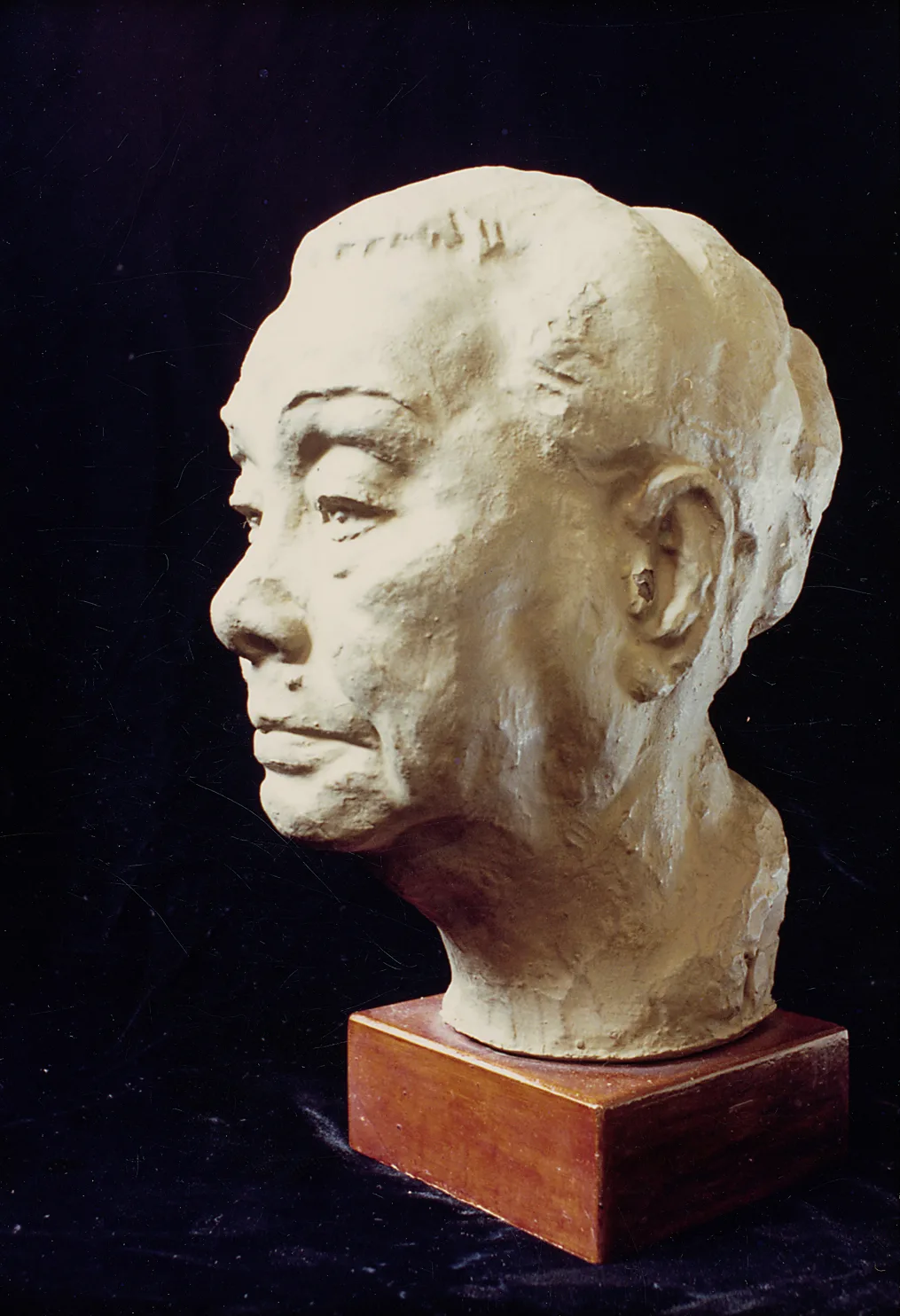慈母 35cm